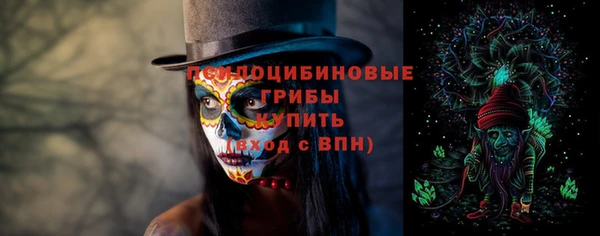 тгк Алзамай
