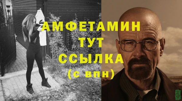сатива Алексеевка