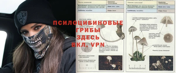 сатива Алексеевка