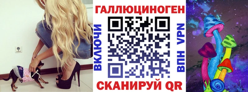 дарнет шоп  Карабулак  Галлюциногенные грибы GOLDEN TEACHER 